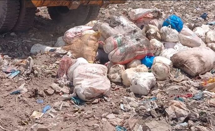 نجاب فوڈ اتھارٹی کی کاروائیاں ایک ہزار 200کلو جعلی کھویا و پنیر اور جانوروں کی آلائشوں سے تیار شدہ 2 ہزار 90لیٹر مضر صحت آئل بھی تلف