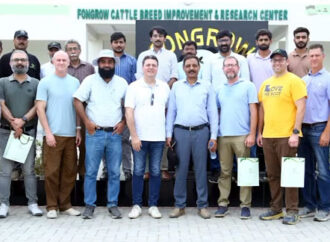 ایس آئی ایف سی اور گرین پاکستان انیشیٹو کے تحت زرعی شعبے میں انقلابی اقدامات