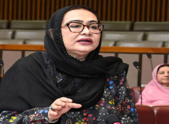 پاک فوج کے اسی فیصد شعبوں میں خواتین کو بھرتی کیا جاتا ہے،زیب جعفر