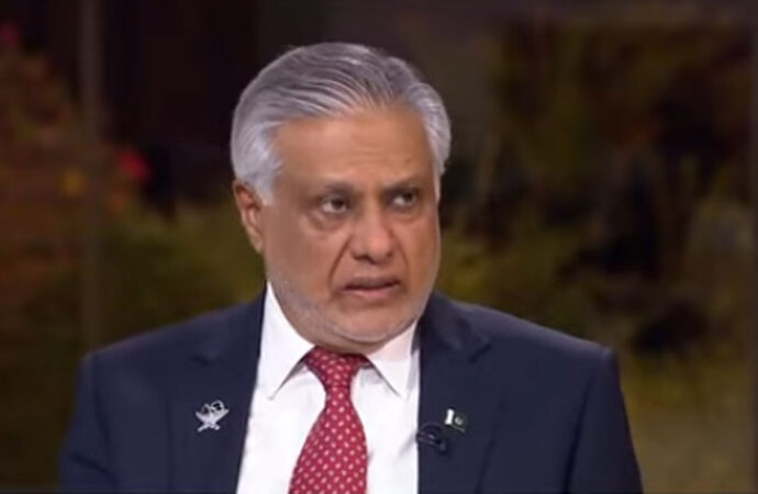 پاکستان علاقائی سالمیت کی خلاف ورزی کو برداشت نہیں کریگا، نائب وزیراعظم