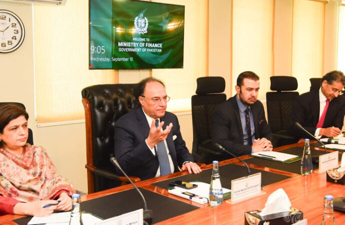 کاروبار اور بیرونی سرمایہ کاری کے فروغ کیلئے حکومت پُرعزم ہے، وزیرِخزانہ