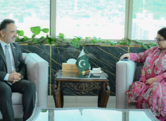 پاکستان اورترکیہ کا ڈیجیٹل شعبے میں دوطرفہ تعاون بڑھانے کا فیصلہ