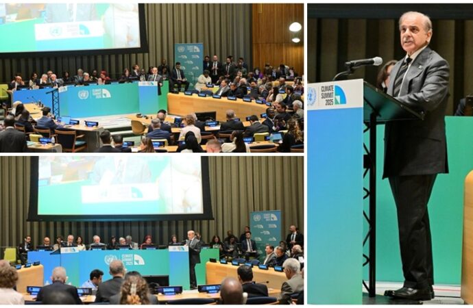 دنیا موسمیاتی تبدیلی سے نقصانات پرمالی تعاون کا وعدہ پوراکرے،وزیراعظم