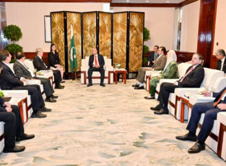 صدرکی برقی گاڑیوں کی مقامی سطح پر تیاری کیلئے عالمی کمپنیوں کو تعاون کی یقین دہانی