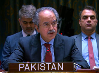 پاکستان کا اقوام متحدہ اورافریقی یونین کی شراکت داری مضبوط بنانے پرزور