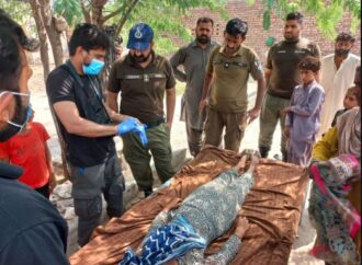 تھانہ مسن کی حدود میں باپ نے مبینہ طور پر کلہاڑی کے وار سے بیٹی کو قتل، اور بیٹے کو زخمی کردیا