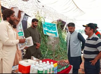 ڈپٹی کمشنر علی اکبر بھنڈر نے بائی پاس حفاظتی بند و سرگودھا روڑ کا دورہ کیا