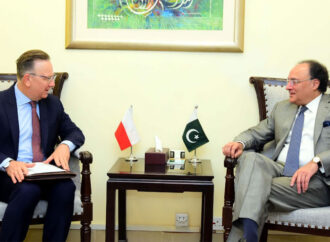 پاکستان۔پولینڈ کا تجارت،سرمایہ کاری کوفروغ دینے کے طریقوں پر تبادلہ خیال