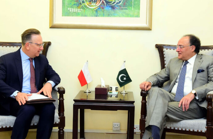 پاکستان۔پولینڈ کا تجارت،سرمایہ کاری کوفروغ دینے کے طریقوں پر تبادلہ خیال