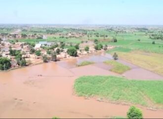 جھنگ میں سیلاب سے کل 307 دیہات متاثر ہوئے