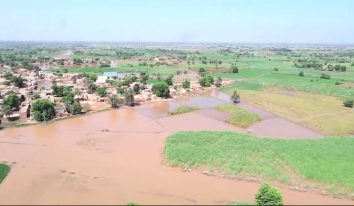 جھنگ میں سیلاب سے کل 307 دیہات متاثر ہوئے