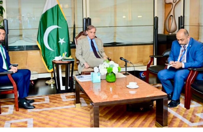 وزیراعظم کی سیلاب متاثرہ علاقوں میں نقصانات کا تخمینہ مکمل کرنے کی ہدایت