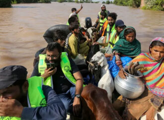 سیلاب سے41 سو سے زائد دیہات،42 لاکھ افراد متاثر ہوئے، پی ڈی ایم اے