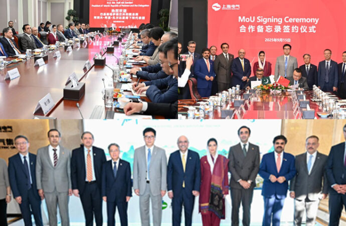 صدر کی شنگھائی الیکٹرک کو ٹرانسمیشن اور ڈسٹری بیوشن نظام میں سرمایہ کاری کی دعوت
