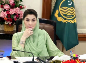 وزیر اعلی پنجاب نے جنگلات میں درختوں کی کٹائی، لکڑی کی نیلامی پر فوری پابندی عائد کر دی