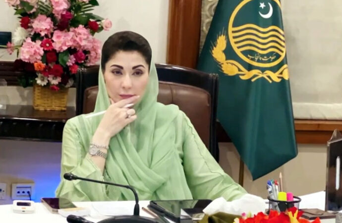 وزیر اعلی پنجاب نے جنگلات میں درختوں کی کٹائی، لکڑی کی نیلامی پر فوری پابندی عائد کر دی