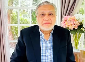 پاکستان یورپی یونین کے ساتھ تعاون کو مستحکم کرنے کا خواہاں ہے،اسحاق ڈار