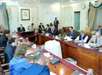 زرعی اور صنعتی شعبوں کو ہر ممکن سہولت پہنچانا حکومت کی ترجیحات میں شامل ہے:وزیراعظم