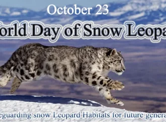 برفانی چیتے کا عالمی دن آج منایا جا رہا ہے