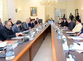 وزیراعظم کی نجکاری کا عمل جلد مکمل کرنے کی ہدایت