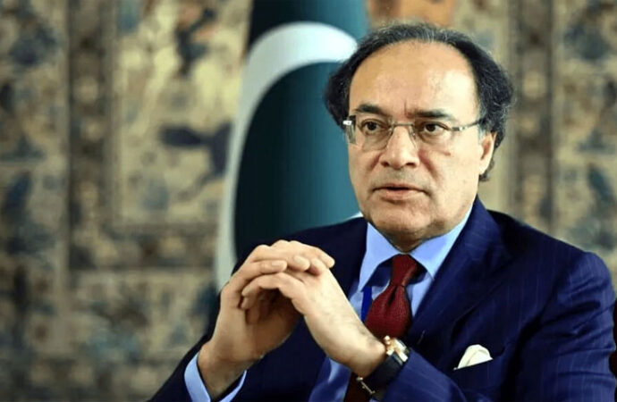 امریکہ کیساتھ مختلف شعبوں میں تعاون کو فروغ دے رہے ہیں،وزیر خزانہ