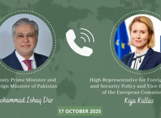 نائب وزیراعظم اور یورپی یونین کی اعلیٰ نمائندہ کے درمیان علاقائی اور عالمی صورتحال پر تبادلہ خیال