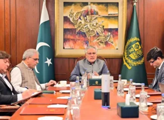 نائب وزیراعظم کا ترسیلاتِ زر بڑھانے کیلئے ڈیجیٹل ٹیکنالوجی کے فروغ پر زور