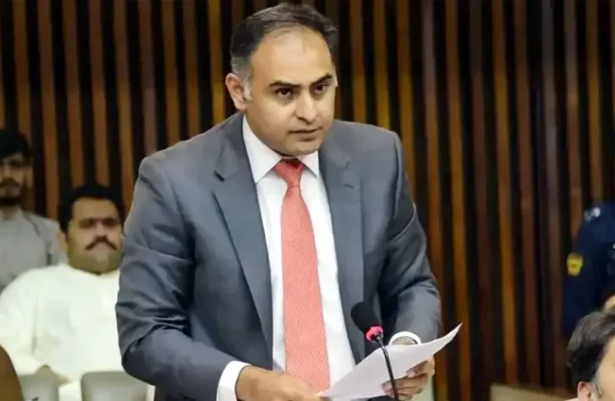 حکومت ملک میں الیکٹرک گاڑیوں (EV) کی صنعت کو فروغ دینے کے لیے جامع اور مؤثر اقدامات کر رہی ہے۔بلال اظہر کیانی