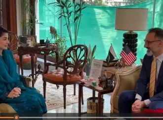 وزیراعلیٰ پنجاب کی امریکی سرمایہ کاروں کو صوبے میں سرمایہ کاری کے وسیع مواقع سے فائدہ اٹھانے کی دعوت