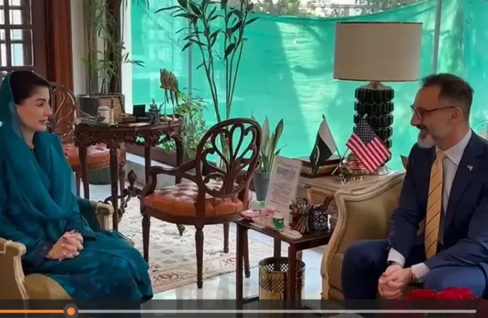 وزیراعلیٰ پنجاب کی امریکی سرمایہ کاروں کو صوبے میں سرمایہ کاری کے وسیع مواقع سے فائدہ اٹھانے کی دعوت