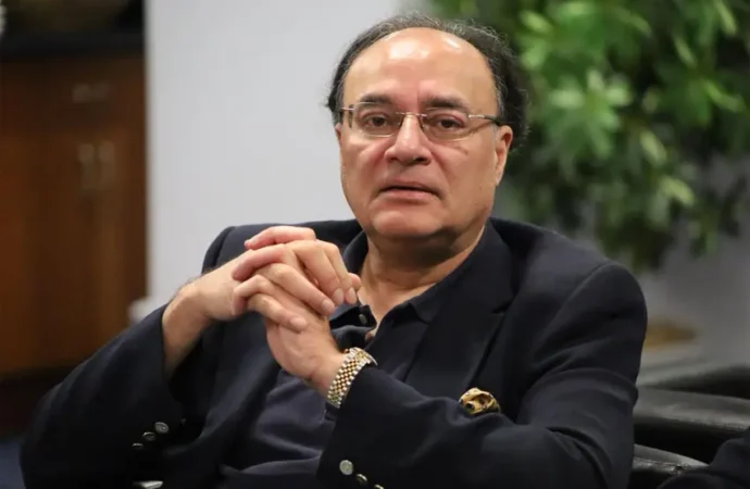 این ایف سی وسائل کی منصفانہ تقسیم میں اہم کردارادا کررہا ہے،وزیرخزانہ