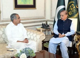 وزیر داخلہ کی وزیراعظم سے ملاقات،امن و امان کی صورتحال سے آگاہ کیا