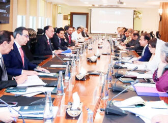 وفاقی کابینہ کی اقتصادی رابطہ کمیٹی (ای سی سی) نےدفاع اور داخلہ کی وزارتوں کے لیے 24.174 ارب روپے سے زائد کی منظوری دے دی۔