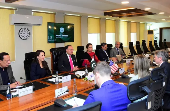 پاکستان ۔امریکہ کا معدنی شعبے میں تعاون جاری رکھنے پر اتفاق