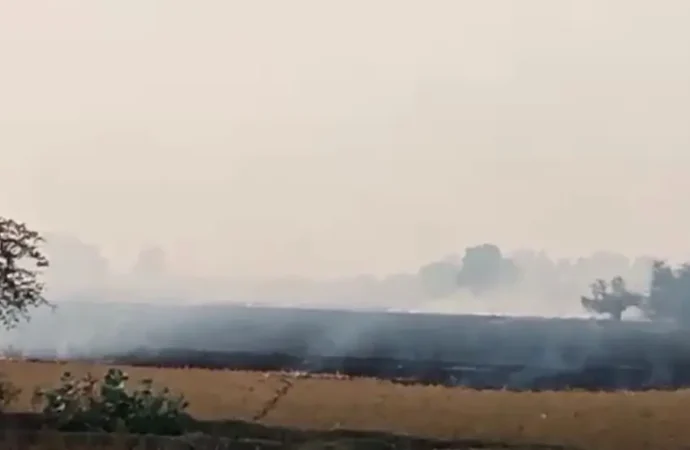 فصلوں کی باقیات جلانے پر ضلع بھر میں 54 مقدمات درج جبکہ 14 لاکھ روپے کے جرمانے عائد