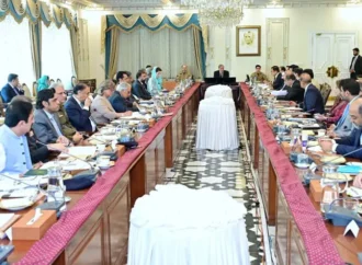 وزیراعظم کی افغان مہاجرین کی واپسی کے لیے وفاقی اور صوبائی اداروں کو مل کر کام کرنے کی ہدایت