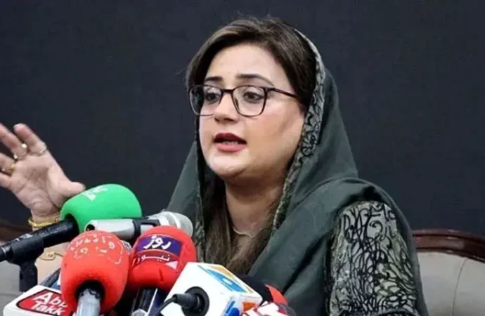 آپ فرشی وزیراعلیٰ ہیں آپ علیمہ خان کو فرشی سلام کرکے آئے ہیں اور انہی کے کہنے پر آپکو لگایا گیا ہے