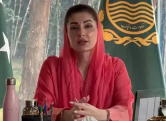 ترک وفد اور وزیراعلیٰ پنجاب کا معاشی و ماحولیاتی تعاون پر تبادلہ خیال