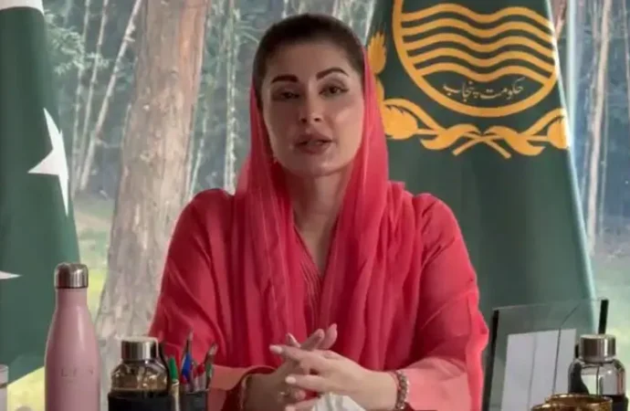 ترک وفد اور وزیراعلیٰ پنجاب کا معاشی و ماحولیاتی تعاون پر تبادلہ خیال