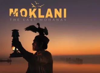 پاکستانی فلم نے جیکسن وائلڈ میڈیا ایوارڈ حاصل کرلیا