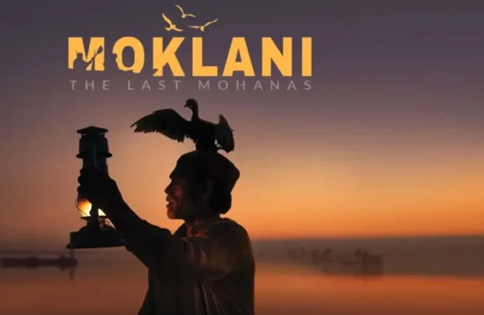 پاکستانی فلم نے جیکسن وائلڈ میڈیا ایوارڈ حاصل کرلیا