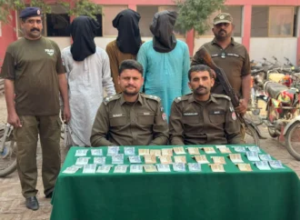 تھانہ شورکوٹ سٹی پولیس نے  تین رکنی گروہ اللہ دتہ عرف دتو گینگ کو گرفتار کرلیا