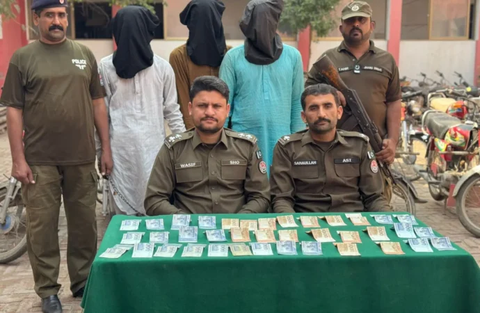 تھانہ شورکوٹ سٹی پولیس نے  تین رکنی گروہ اللہ دتہ عرف دتو گینگ کو گرفتار کرلیا