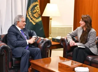 نائب وزیراعظم کا پاکستان امریکہ تعلقات کی مثبت سمت پر اطمینان کا اظہار