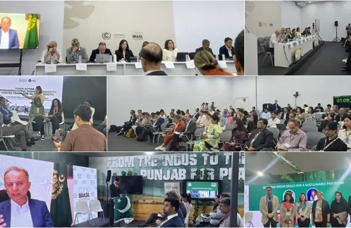 پاکستان کاعالمی ماحولیاتی مالی معاونت، ٹیکنالوجی کی منتقلی اور ماحول دوست مہارتوں کے فروغ پر زور