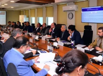 ای سی سی نے سرکلر ڈیٹ فنانسنگ کے لیے 659 ارب روپے کی گارنٹی کی منظوری دی