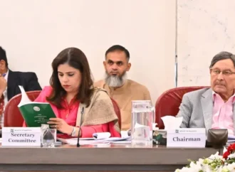 سینیٹ اور قومی اسمبلی کی قائمہ کمیٹیوں کا مشترکہ اجلاس، 27ویں آئینی ترمیم کے بل پرغور