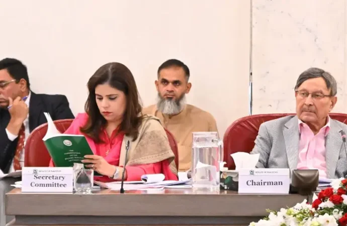 سینیٹ اور قومی اسمبلی کی قائمہ کمیٹیوں کا مشترکہ اجلاس، 27ویں آئینی ترمیم کے بل پرغور