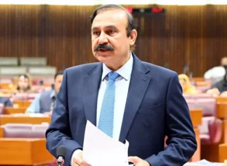 پاکستانی پاسپورٹ کی درجہ بندی میں نمایاں بہتری آئی،وزیر پارلیمانی امور