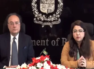 حکومت ڈیجیٹل پاکستان پروگرام کو تیز کر رہی ہے:وزیر خزانہ